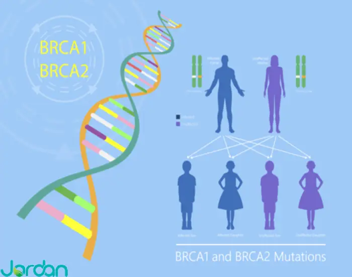 آزمایش BRCA 