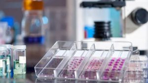 آزمایش IHC