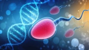 تکه تکه شدن DNA اسپرم (SDFA)