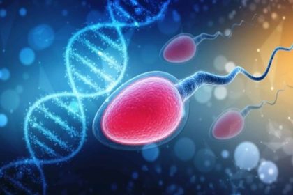 تکه تکه شدن DNA اسپرم (SDFA)