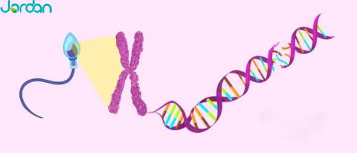 تکه تکه شدن DNA اسپرم (SDFA)