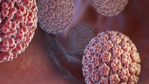 ویروس HPV
