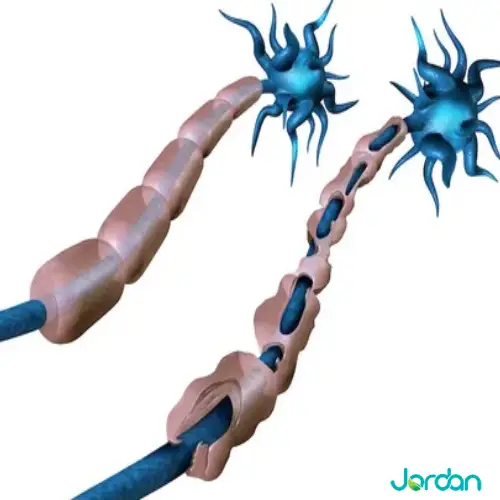 آزمایش آنتی بادی MAG