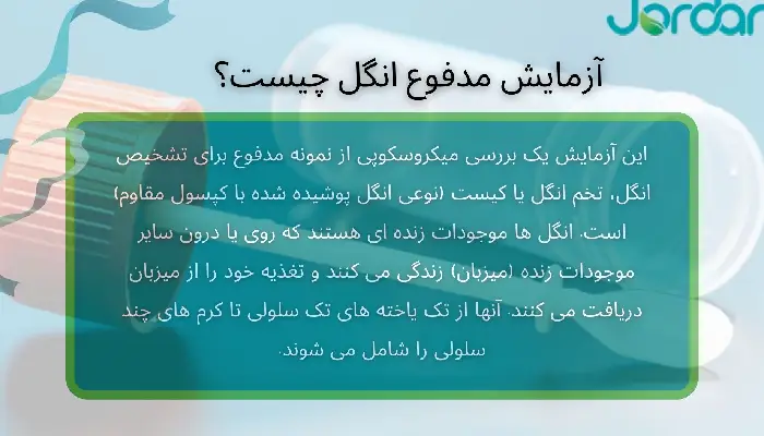 آزمایش مدفوع انگل