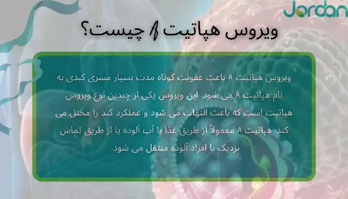 ویروس هپاتیت A