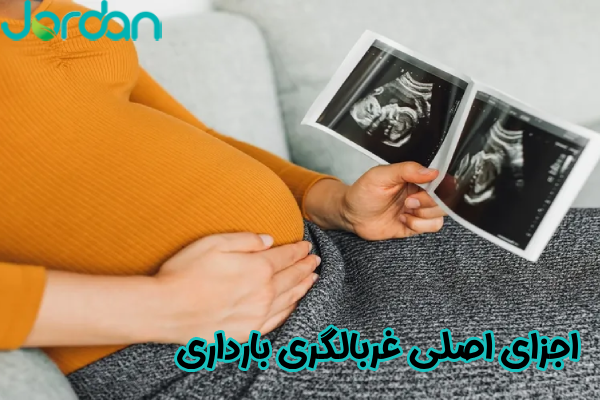 اجزای اصلی غربالگری بارداری