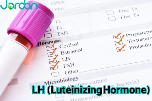 LH (Luteinizing Hormone)