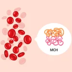 MCH در آزمایش خون